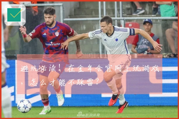 避坑必读！在金年会官网上玩游戏，怎么才能不踩雷？