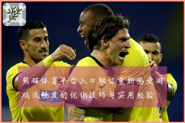 熊猫体育平台入口助你重新感受游戏流畅度的优化技巧与实用经验